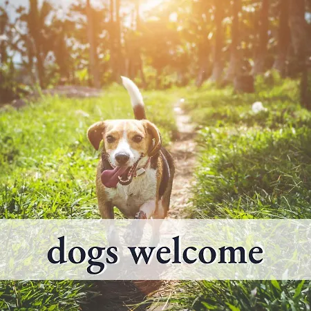 Tolle Zweiraum-ferienwohnung In Bester Lage L Innenstadtnaehe L 1 Minute Zum Bahnhof L Tv L Free-wlan L Keine Kueche L Willkommen Im Hallo!-apartment 4 *